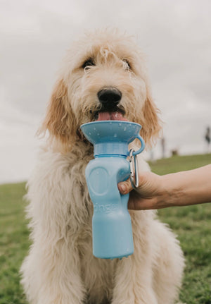 Travel Waterfles/ Dog Water Bottle