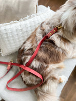 Afbeelding in Gallery-weergave laden, Nubuck ultra soft leather - hands free dog leash
