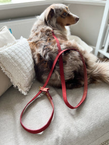 Nubuck ultra soft leather - hands free dog leash