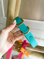 Load image into Gallery viewer, Classic Collar - Teal
