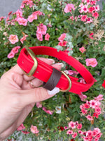Load image into Gallery viewer, Classic collar - Red
