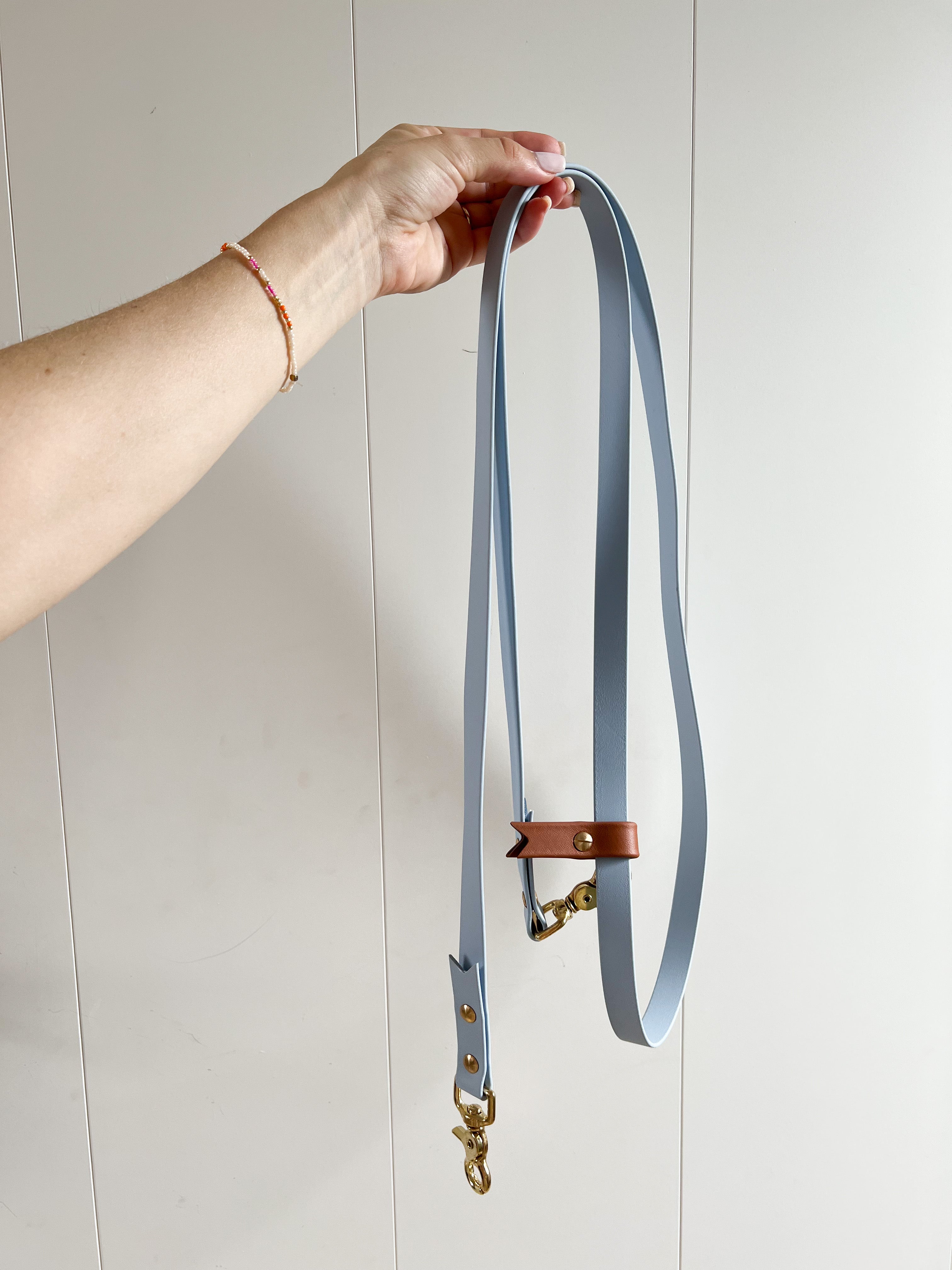 Hands Free Leash - Pastel blue with Spice