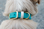 Load image into Gallery viewer, Classic Collar - Biothane®

