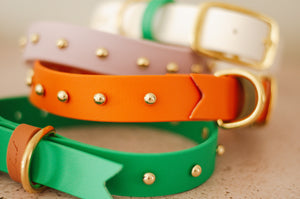 Classic collar with studs