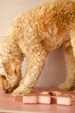 Afbeelding in Gallery-weergave laden, Natural Dog Soap Bar
